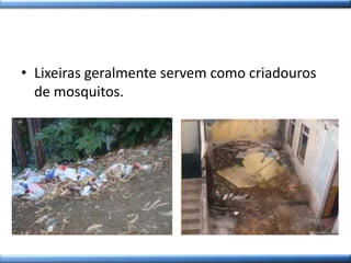 • Lixeiras geralmente servem como criadouros
de mosquitos.
 