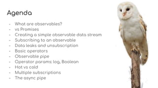 Agenda
- What are observables?
- vs Promises
- Creating a simple observable data stream
- Subscribing to an observable
- Data leaks and unsubscription
- Basic operators
- Observable pipe
- Operator params: log, Boolean
- Hot vs cold
- Multiple subscriptions
- The async pipe
 
