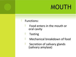 MOUTH


Functions:


Food enters in the mouth or
oral cavity



Tasting



Mechanical breakdown of food



Secretion of salivary glands
(salivary amylase)

 