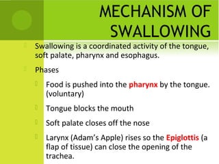 MECHANISM OF
SWALLOWING



Swallowing is a coordinated activity of the tongue,
soft palate, pharynx and esophagus.



Phases


Food is pushed into the pharynx by the tongue.
(voluntary)



Tongue blocks the mouth



Soft palate closes off the nose



Larynx (Adam’s Apple) rises so the Epiglottis (a
flap of tissue) can close the opening of the
trachea.

 