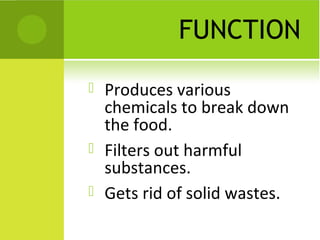 FUNCTION





Produces various
chemicals to break down
the food.
Filters out harmful
substances.
Gets rid of solid wastes.

 