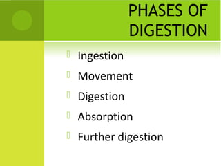 PHASES OF
DIGESTION


Ingestion



Movement



Digestion



Absorption



Further digestion

 