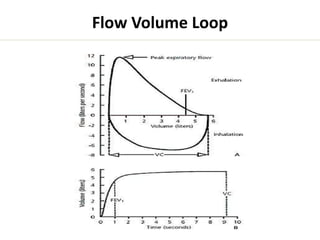Flow Volume Loop 
 