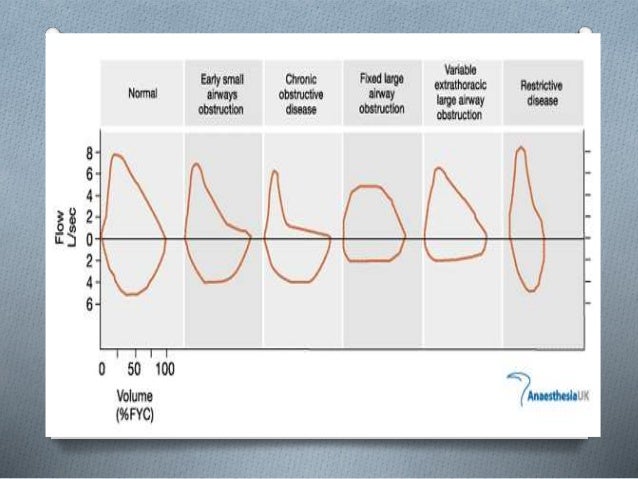 pulmonary function tests pulmonary function tests