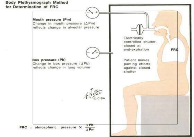 Pulmonary function tests | PPTX
