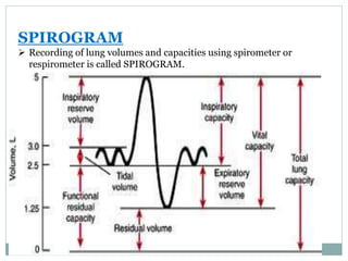 SPIROGRAM
 Recording of lung volumes and capacities using spirometer or
respirometer is called SPIROGRAM.
 