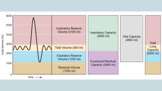 pulmonary function test made simple for doctors | PDF