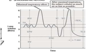 pulmonary Function Test | PPTX