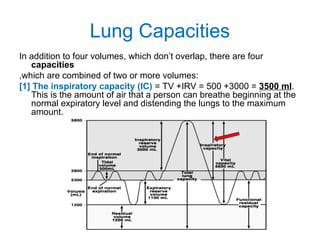 Lung Capacities
In addition to four volumes, which don’t overlap, there are four
capacities
,which are combined of two or more volumes:
[1] The inspiratory capacity (IC) = TV +IRV = 500 +3000 = 3500 ml.
This is the amount of air that a person can breathe beginning at the
normal expiratory level and distending the lungs to the maximum
amount.
 