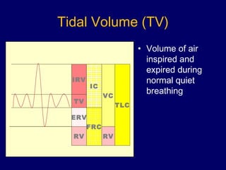 Pulmonary Function Test | PPT