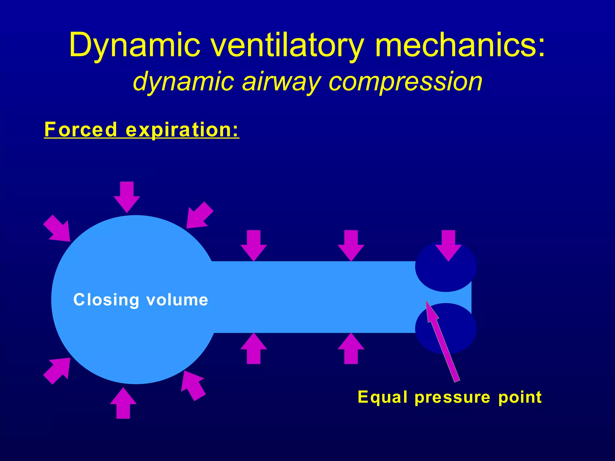 Dynamic ventilatory mechanics:
dynamic airway compression
Forced expiration:
Equal pressure point
Closing volume
 