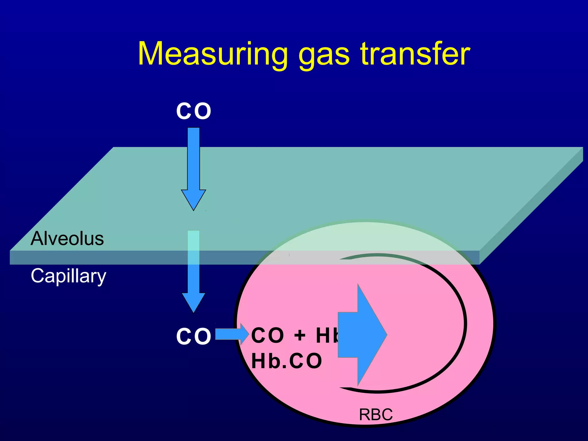 CO
RBC
Capillary
CO CO + Hb
Hb.CO
Alveolus
Measuring gas transfer
 