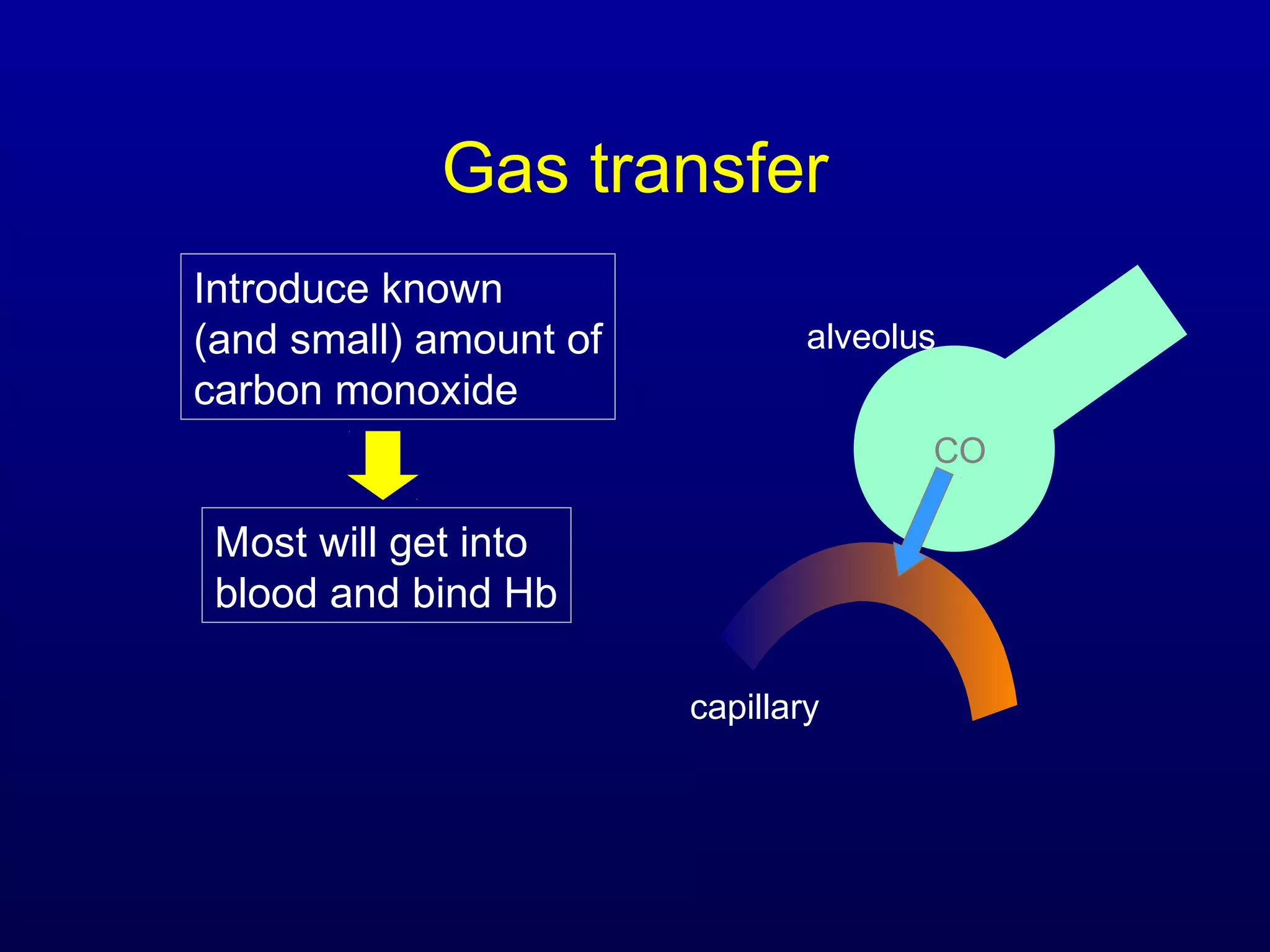 Gas transfer
alveolus
capillary
CO
Introduce known
(and small) amount of
carbon monoxide
Most will get into
blood and bind Hb
 