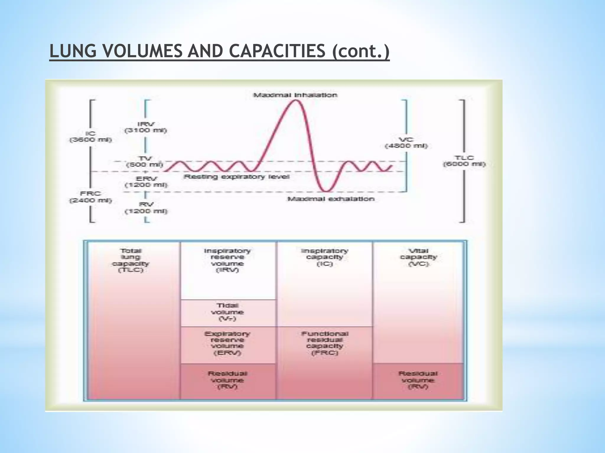 LUNG VOLUMES AND CAPACITIES (cont.)
 