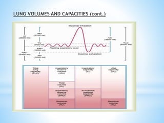 LUNG VOLUMES AND CAPACITIES (cont.)
 