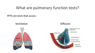 What are pulmonary function tests?
PFTS are tests that assess :
Ventilation Diffusion
 