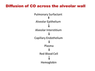 Diffusion of CO across the alveolar wall
Pulmonary Surfactant
Alveolar Epithelium
Alveolar Interstitium
Capillary Endothelium
Plasma
Red Blood Cell
Hemoglobin
 