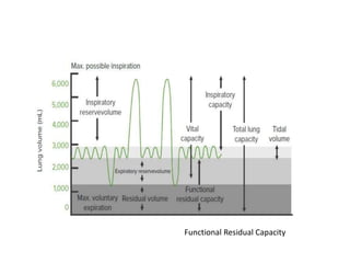 Functional Residual Capacity
 