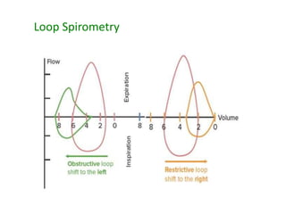 Loop Spirometry
 