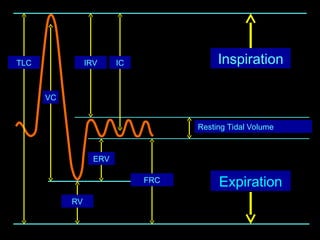 Inspiration
Expiration
ERV
IC
VC
IRV
Resting Tidal Volume
RV
FRC
TLC
 
