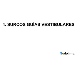 4. SURCOS GUÍAS VESTIBULARES
 