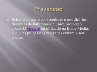  Evitar o contacto com roedores e erradicá-los
das áreas de habitação é a única protecção
eficaz. O vinagre foi utilizado na Idade Média,
já que as pulgas e as ratazanas evitam o seu
cheiro.
 