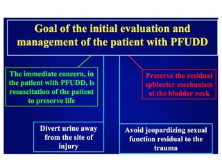 Transpubic Approach Pfudd | PPTX