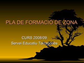 PLA DE FORMACIÓ DE ZONA CURS 2008/09 Servei Educatiu Tarragonès 