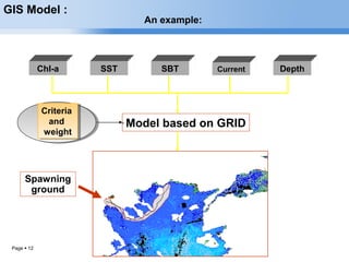Page  12
GIS Model :
An example:
Chl-a SST SBT Current Depth
Model based on GRID
Criteria
and
weight
Criteria
and
weight
Spawning
ground
 
