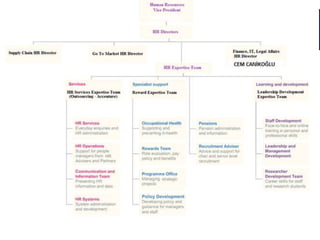 ORGANIZATION SCHEME OF P&G TURKEY 
 