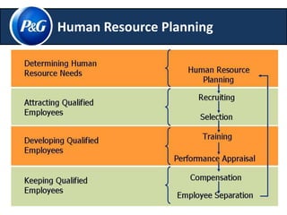 Human Resource Planning 
 