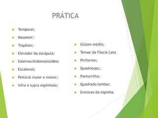 PRÁTICA
 Temporal;
 Masseter;
 Trapézio;
 Elevador da escápula;
 Esternocleidomastoideo;
 Escalenos;
 Peitoral maior e menor;
 Infra e supra espinhoso;
 Glúteo médio;
 Tensor da Fáscia Lata
 Piriforme;
 Quadriceps;
 Panturrilha;
 Quadrado lombar;
 Eretores da espinha.
 