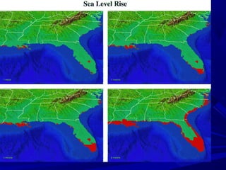 Shiftingbaselines.orgShiftingbaselines.org
 