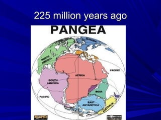 225 million years ago225 million years ago
 