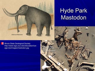 Hyde ParkHyde Park
MastodonMastodon
Illinois State Geological SocietyIllinois State Geological Society
http://www.isgs.uiuc.edu/education/ice-http://www.isgs.uiuc.edu/education/ice-
age-res/images/mastodon.jpgage-res/images/mastodon.jpg
 