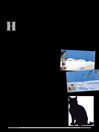 H
á um equívoco
recorrente
à volta da
protagonista
desta história.
Ana Paula
Faria não é a cantora Ana Faria
(a dos memoráveis Queijinhos
Frescos), por isso recebe a
Pública dizendo: “Sabe que eu
não sou a que canta, não sabe?”
A alimentar a confusão está o
facto de a “ex-cantora” se ter
dedicado recentemente à escrita
de livros para crianças, público-
alvo da editora Gatafunho. Mas
adiante, que os leitores já estão
esclarecidos.
A “loja de livros Gatafunho é
um espaço para toda a família”,
diz a colaboradora Elsa Aço.
“E para qualquer família”,
completa Ana Paula Faria:
“Temos livros sem idade e
em várias línguas: português,
francês, inglês, alemão,
italiano e até mirandês.” Com
dois euros, compra-se o mais
barato; com 22, o mais caro.
Histórias sem palavras
O número e variedade de
títulos estrangeiros talvez seja
a singularidade maior deste
espaço de venda de livros
ilustrados “ditos” para a infância.
Outra particularidade é a prática
de levar contadores de histórias
a ler diferentes versões do
mesmo título. Para ontem estava
agendada a leitura... de um
livro sem palavras: A Onda, de
Suzy Lee. A apresentação desta
obra, uma das mais vendidas da
editora, iria contar com as vozes
de Elsa Serra, Pedro Lopes e Ana
Alpande.
“Vamos tentar ter sempre a
Elsa e o Pedro como contadores
residentes, digamos assim, e
mais um convidado. A ideia é
proporcionar o maior número
de experiências a quem escuta.
Crianças e adultos.”
Como a loja é pequena,
ocupam nestas sessões uma
área adjacente, dentro do
Edifício Espaço Chiado.
“Pomos umas almofadas no
chão e criamos um ambiente
familiar e de proximidade.
Resulta muito bem”, diz a
editora e livreira.
Está prevista também uma
parceria com a Trupilariante,
Companhia de Teatro-Circo,
para que venha a representar
algumas das histórias editadas
pela Gatafunho. Fica assim
explicada a participação do
autor e encenador Paulo César
na equipa, que ocupa as suas
manhãs na loja desde o início
do ano. “É um projecto tão
atractivo e apetecível que não
se consegue resistir. E tem
umas criaturas fascinantes a
puxar por ele. Isto é muito mais
do que uma pequena livraria
num centro comercial”, diz
entusiasmado, informando que
fará “a ponte entre a livraria
e a Trupilariante”. E não tem
dúvidas: “A parceria dará
resultados muito giros.”
Como uma farmácia
Paulo César conta como,
depois de “uma visita guiada”
à livraria para se familiarizar
com as obras antes de começar
a actividade, se tornou num
verdadeiro “devorador de
livros”. Agora, já se acalmou
um pouco, mas continua a
deslumbrar-se com certos
títulos que têm à venda.
“Todos conhecemos todos
os livros que temos aqui”, diz
Elsa Aço, designer gráfica que
anteriormente trabalhou na
Bichinho de Conto.
“Funcionamos como uma
farmácia. O cliente chega e diz:
‘Preciso de um livro para um
menino de sete anos.’ Como
os meninos de sete anos não
são todos iguais, tentamos
perceber o carácter da criança
e encaminhar as pessoas para o
livro certo. Por isso, conhecer
muito bem o que há na livraria
é fundamental.”
Segundo Paulo César,
as orientações são sempre
muito bem acolhidas pelos
clientes e orgulha-se dos bons
resultados de Janeiro, “o mês
tradicionalmente pior para
vendas está a ser excelente”.
A necessidade de a
Gatafunho criar o seu próprio
ponto de venda é justificada
por Ana Paula Faria “pela
vontade de compreender o
que era estar no outro lado de
uma livraria”, mas dar maior
visibilidade às suas edições
também a moveu. “Aqui posso
mostrar melhor os meus livros,
dou-lhes uma visibilidade
que não tenho na maioria dos
outros espaços livreiros. Aí,
os pequenos editores ficam
sempre mais escondidos.”
Chorar por não editar
A editora não sobreviveria
sem a loja? “Sobreviveria
com a mesma dificuldade que
sobrevive hoje. Porque hoje só
quem tenha muita presunção
é que diz que está muito bem.
No nosso mercado, é evidente
que todas as editoras passam
por muitos problemas”, diz, e
lembra que “o livro não é um
bem essencial
e que a cultura
não é apoiada”.
De caminho,
elogia os
bibliotecários,
os educadores
de infância e
os professores
do 1.º ciclo:
“Se eles não
trabalhassem
tão bem os
livros com os
miúdos, nem
sequer o livro
infantil se venderia bem
em Portugal.”
Escolhe os livros de
autores estrangeiros na
Feira do Livro Infantil
de Bolonha — “o mais
importante encontro
de editores nesta área”
— e também através de
pesquisa nos catálogos
das editoras em cuja
qualidade confia. Quando
não consegue realizar
algum contrato de edição
que gostaria mesmo de
realizar, chora. “É verdade,
choro mesmo. Como uma
criança a quem roubaram
um brinquedo. Mas, já que
não posso editar todos os
livros do mundo, ao menos
posso vendê-los”, conclui,
numa gargalhada genuína.
“Por isso temos tantos
livros estrangeiros. Eu gosto
muito de livros ilustrados
e, sem desprimor para os
ilustradores portugueses,
quando vemos o que é que se
faz lá fora… Encontro tanta
coisa espantosa, que fico
rendida.”
Cadacontador
dehistórias
convidado
mostraasua
versãodo
mesmolivro.
Ontem,A Onda,
deSuzyLee,teve
direitoatrês
vozes
c
 