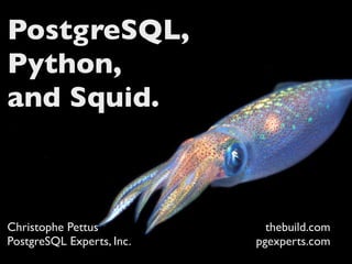 PostgreSQL,
Python,
and Squid.



Christophe Pettus            thebuild.com
PostgreSQL Experts, Inc.   pgexperts.com
 
