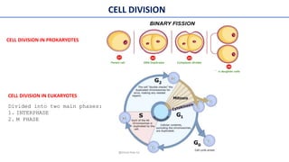 PG-SEM-II-Physiology-2024 human physiology | PPT