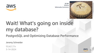 Jeremy Schneider
SCaLE 21x
3-14-2024
Wait! What’s going on inside
my database?
PostgreSQL and Optimizing Database Performance
CC BY
Shisma
Wikimedia Commons
 