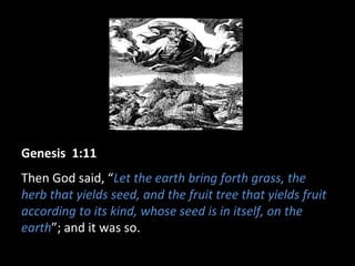 Genesis 1:11
Then God said, “Let the earth bring forth grass, the
herb that yields seed, and the fruit tree that yields fruit
according to its kind, whose seed is in itself, on the
earth”; and it was so.
 