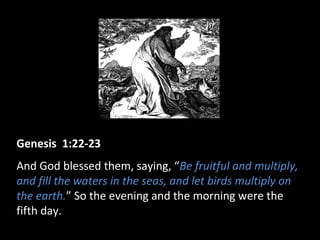 Genesis 1:22-23
And God blessed them, saying, “Be fruitful and multiply,
and fill the waters in the seas, and let birds multiply on
the earth.” So the evening and the morning were the
fifth day.
 