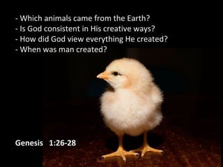 - Which animals came from the Earth?
- Is God consistent in His creative ways?
- How did God view everything He created?
- When was man created?
Genesis 1:26-28
 