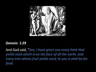 Genesis 1:29
And God said, “See, I have given you every herb that
yields seed which is on the face of all the earth, and
every tree whose fruit yields seed; to you it shall be for
food.
 