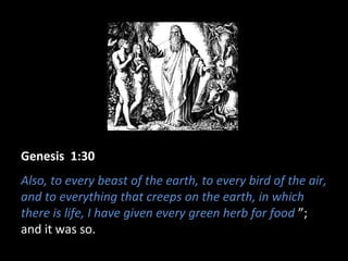 Genesis 1:30
Also, to every beast of the earth, to every bird of the air,
and to everything that creeps on the earth, in which
there is life, I have given every green herb for food ”;
and it was so.
 