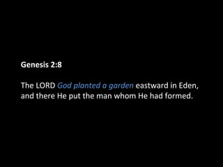 06 Man's Origin | PPT