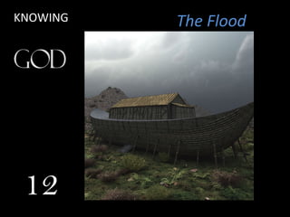 The Flood
12
KNOWING
 