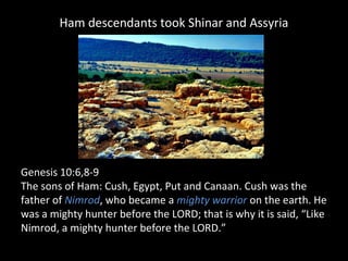 Ham descendants took Shinar and Assyria
Genesis 10:6,8-9
The sons of Ham: Cush, Egypt, Put and Canaan. Cush was the
father of Nimrod, who became a mighty warrior on the earth. He
was a mighty hunter before the LORD; that is why it is said, “Like
Nimrod, a mighty hunter before the LORD.”
 