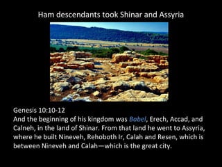 Ham descendants took Shinar and Assyria
Genesis 10:10-12
And the beginning of his kingdom was Babel, Erech, Accad, and
Calneh, in the land of Shinar. From that land he went to Assyria,
where he built Nineveh, Rehoboth Ir, Calah and Resen, which is
between Nineveh and Calah—which is the great city.
 