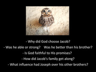 - Why did God choose Jacob?
- Was he able or strong? Was he better than his brother?
- Is God faithful to His promises?
- How did Jacob’s family get along?
- What influence had Joseph over his other brothers?
 