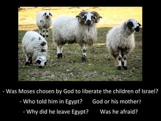 - Was Moses chosen by God to liberate the children of Israel?
- Who told him in Egypt? God or his mother?
- Why did he leave Egypt? Was he afraid?
 